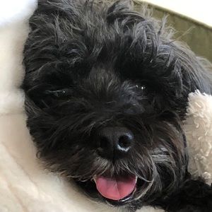 Meet your Posher, Julia